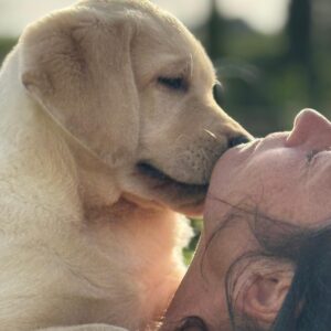 WhatsApp Image 2025-10-23 at 11.07.50 (4)