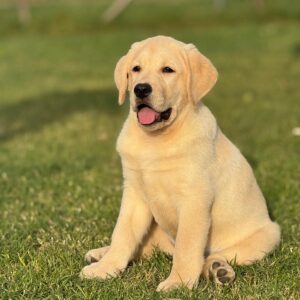 WhatsApp Image 2025-10-23 at 11.07.50 (7)