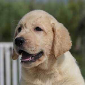 WhatsApp Image 2025-10-23 at 11.07.50